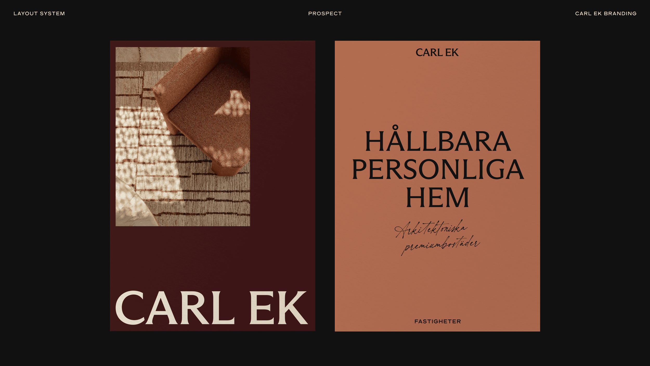 Carl Ek Frame 29
