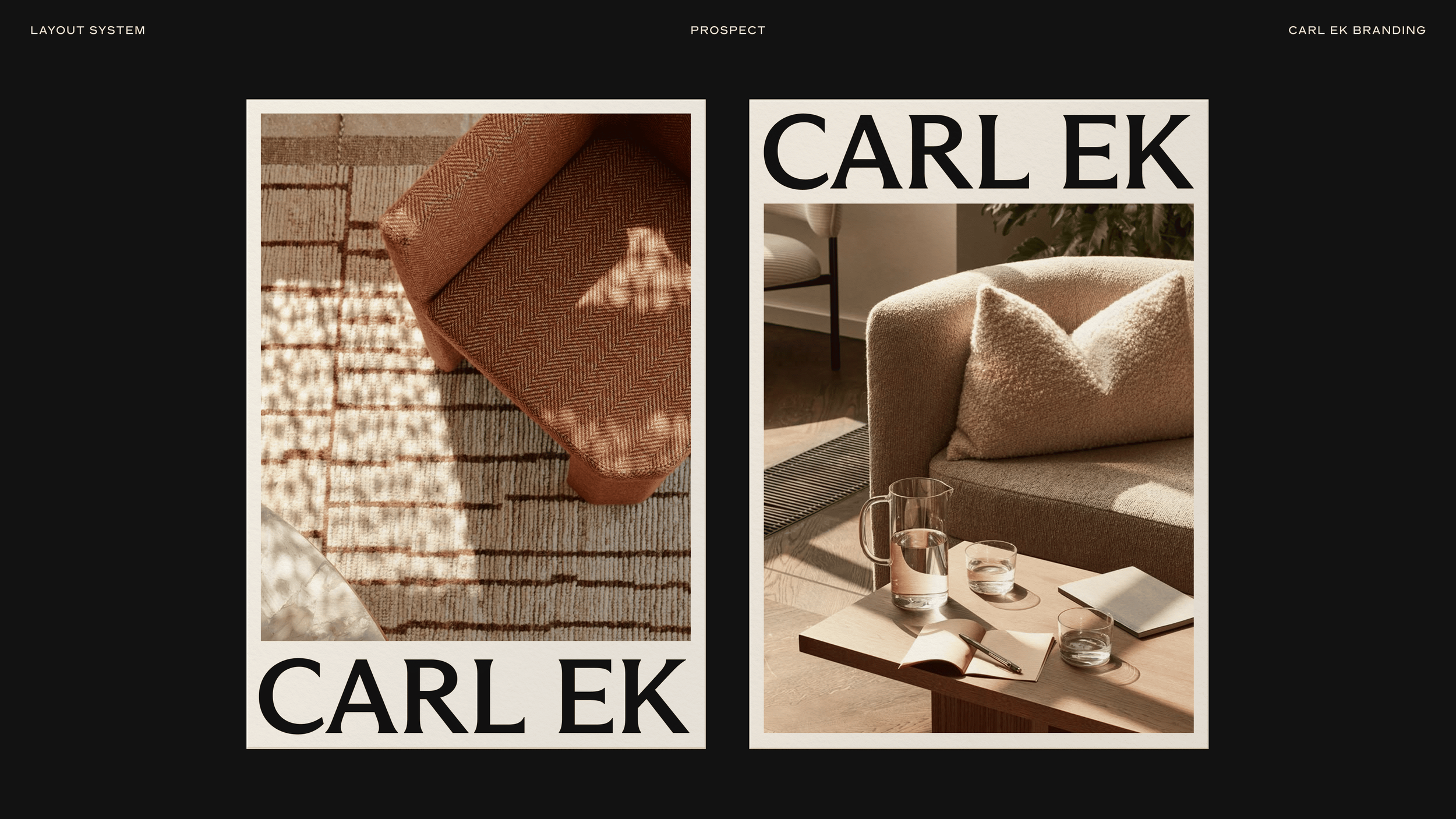 Carl Ek Frame 4